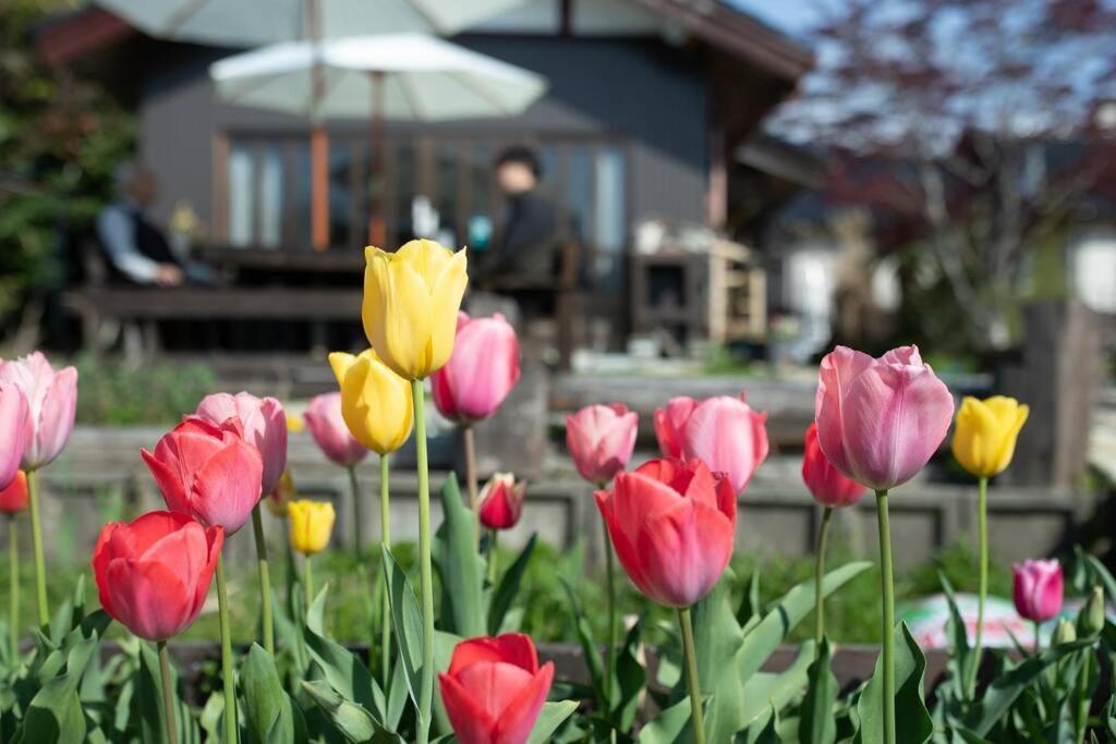 ガーデンハウス道楽亭 Villa Sado ภายนอก รูปภาพ