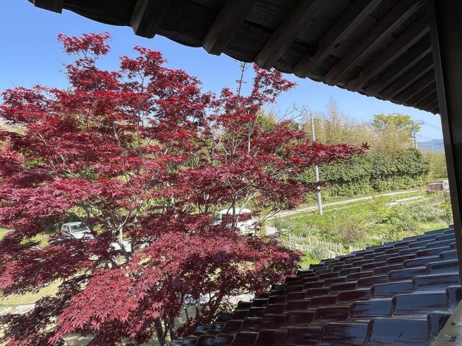 ガーデンハウス道楽亭 Villa Sado ภายนอก รูปภาพ